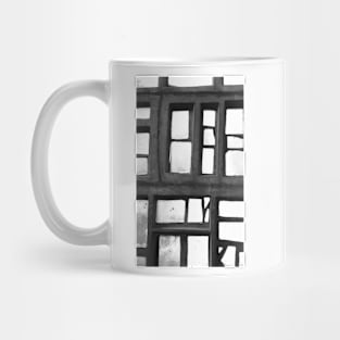 Glass Wall Mug